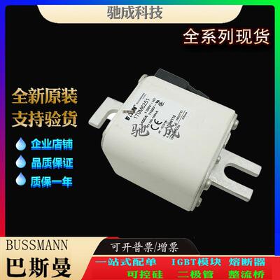 巴斯曼170M6251 170M6252 170M6253 大量现货销售 快速保险丝