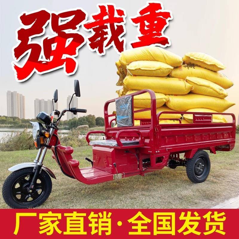 电动三轮车家用小型装货快递车电动三轮车农用拉货载重王大功率