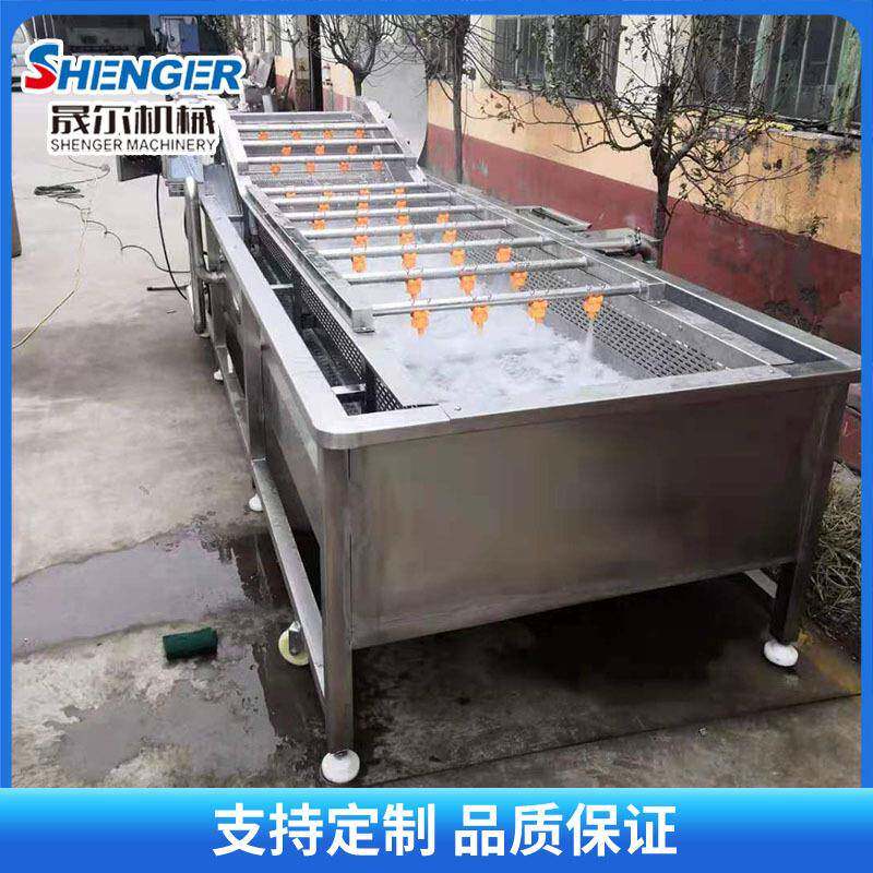 不锈钢全自动果蔬清洗线蓝莓多功能流水线清洗机粽叶喷淋清洗线