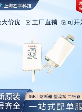 巴斯曼熔断器 170M4198 170M4202 170M4203 170M4204 170M4208