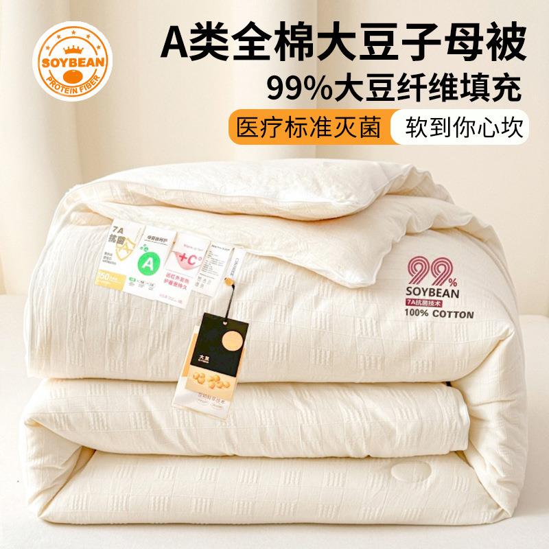 A类母婴级大豆纤维被全棉四季款二合一子母被加厚保暖被芯秋冬被