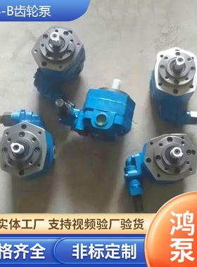 BBB-B10/B37763/B4/16/B2/0B2N摆线齿轮油泵高压齿轮泵离心电动