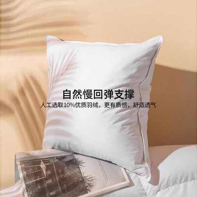 内胆靠枕定制腰垫腰床头定做羽绒靠背靠垫沙发抱芯枕头枕芯pillow