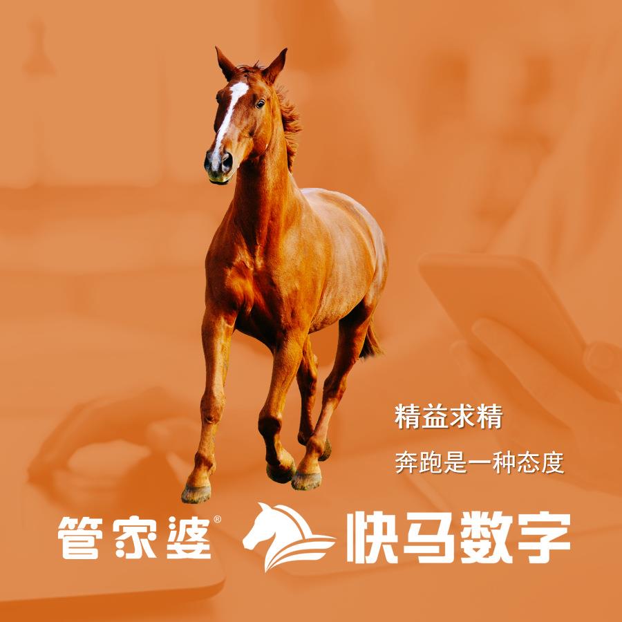 快马数字-新一代互联网管理系统 管家婆小程序商城 业务员开单