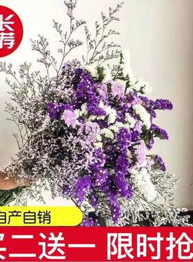 云南鲜花干花勿忘我情人草组合花束客厅卧室装饰插花家居摆设毕业