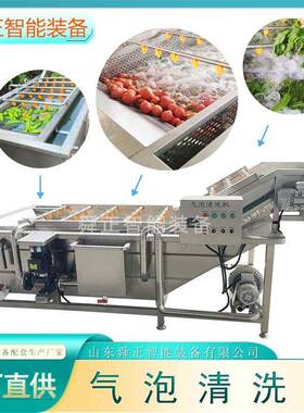 气泡清洗机大型蔬菜水果压喷淋清洗线全自动净菜加工设备