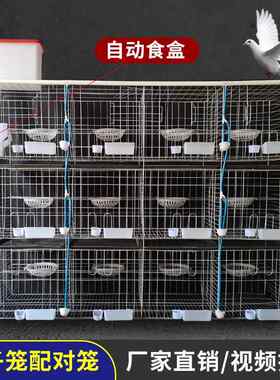 广旺丝网镀锌铁丝鸽子笼三层12位鸽笼加粗鸽笼1.5米养殖鸽笼