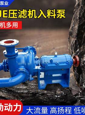 ZJE压滤机入料泵65ZJW-H大流量无堵塞杂质污泥泵洗煤厂给料泵