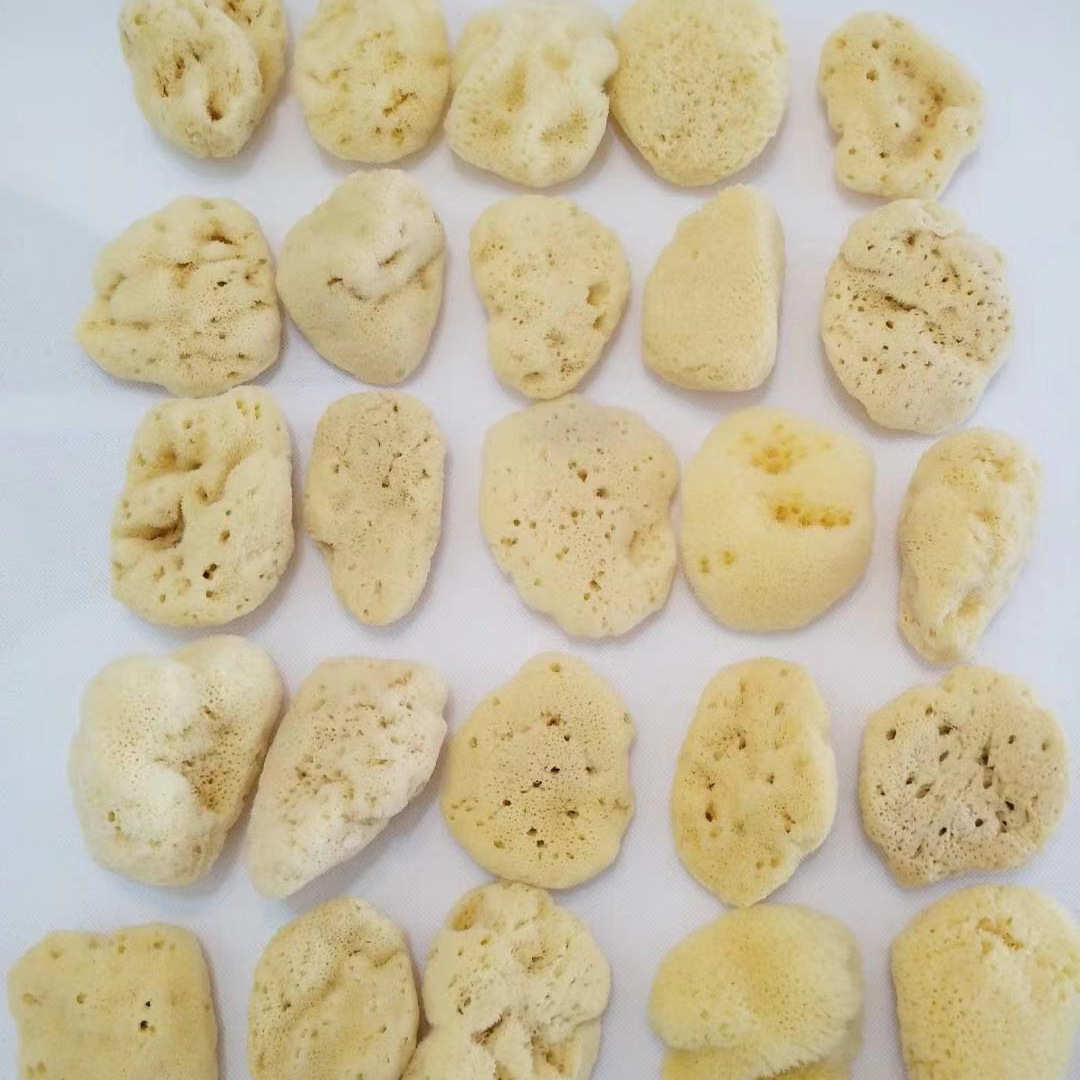 超丑丑海绵甩卖希腊天然沐浴球蜂窝海藻绵洗泥膜洗脸洗澡