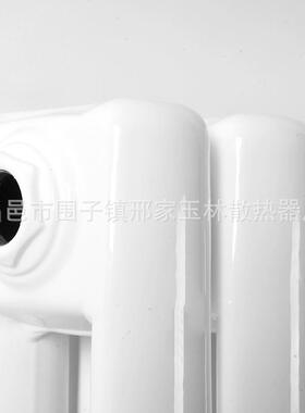 客环厅家用挂式钢制暖气片钢二柱三柱散热壁1.61器.50258米循水暖