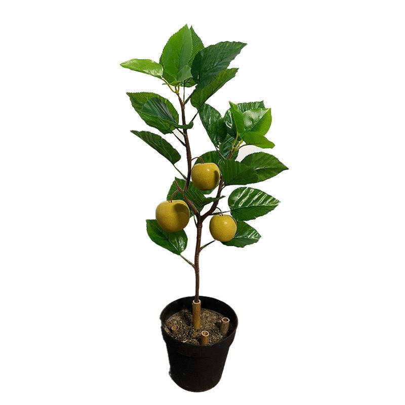 仿真植物柠檬枝干麻梨树叶绿植室内装饰造景假麻梨叶园林拍摄道具