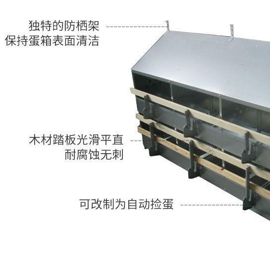 产蛋箱 24穴母鸡产蛋箱 多穴种鸡下蛋箱 母鸡产蛋箱生产厂家