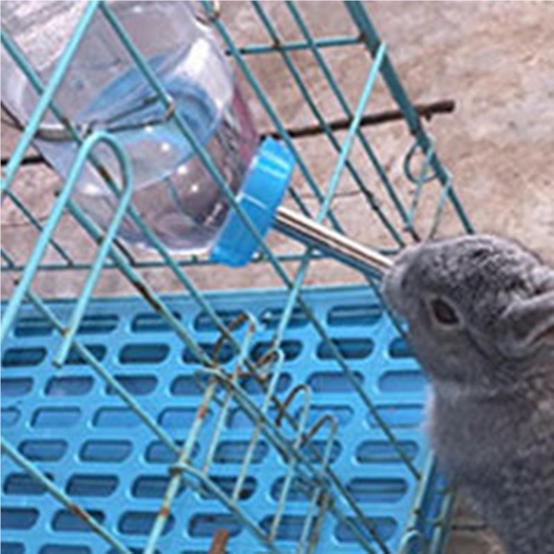 固【兔子水壶大荷容量】双滚37508珠防漏水兔兔喝兰猪水壶定防咬