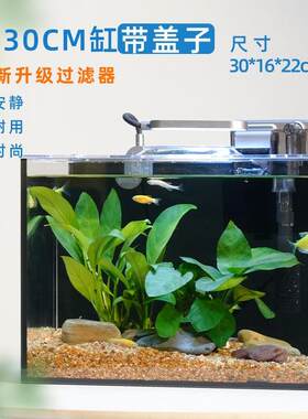 长型30缸高配版整套水景缸带水草造景客厅小型办公室超白自循环