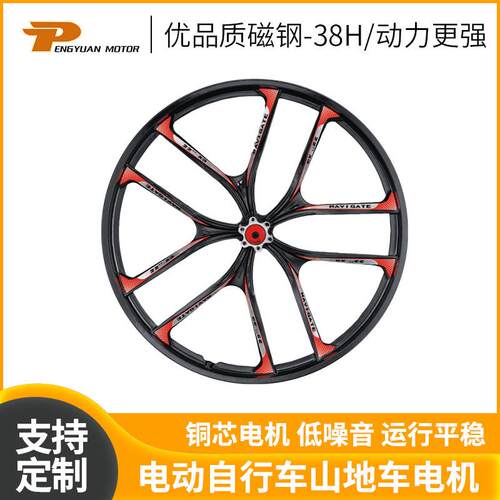 PY-0-20''-04镁合金一体轮电机电动自行车山地车电机
