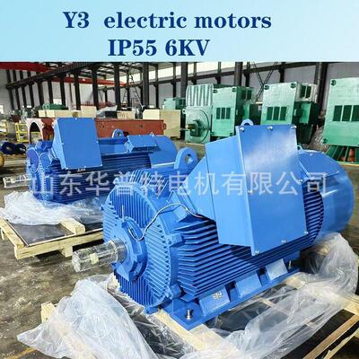出口YX4-400-4/560W，IC411，IE4效节能压电机5500v