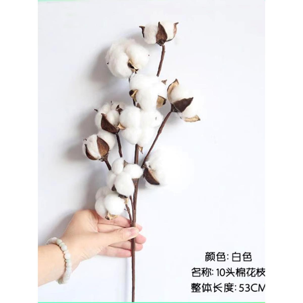 10头天然棉花枝自然干燥花彷真花家居装饰婚庆插花假花拍照道具覆