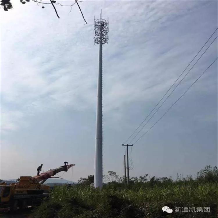 信誉厂家5G35米40米避雷塔美化塔单管塔通信塔生产安装