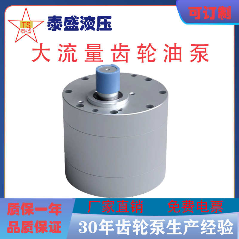 CB-B160 CB-B250低噪音大流量齿轮油泵DCB-B300 XCB-B400 500 600