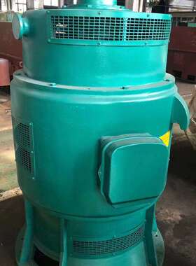 JSL14-10-320KW立式水泵用三相鼠笼式JSL系列电动机直销