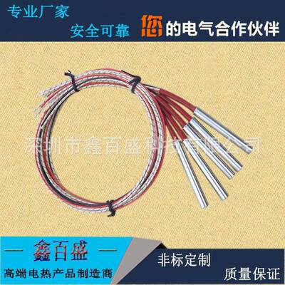 单头加热棒钢熔喷发热模具干烧型电热管220VXBS-DSCA高机温不锈加