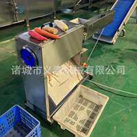 义泰全自动白萝卜削皮机生产厂家大型莲藕削皮机设备大产量