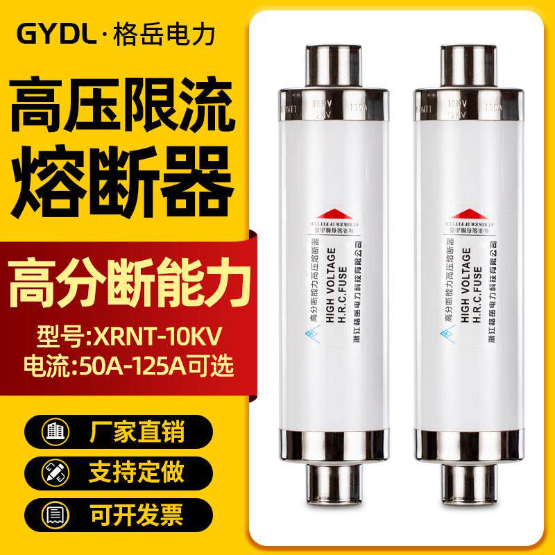 高压熔断器高分断能力限流XRNT10-12KV50A63A80A100A变压器跌落式