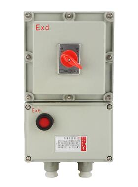 BDZ52防爆断路器漏电断路器10~63A 2P/3P/4P 100~630A空开泰