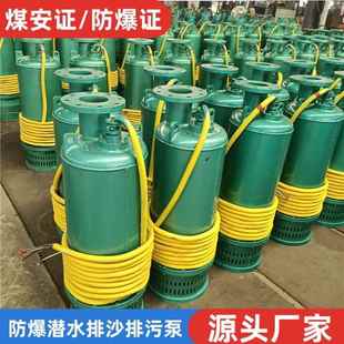 315KW防爆泵1140v660v泥浆泵矿用隔爆型潜水排沙泵 BQS400 180
