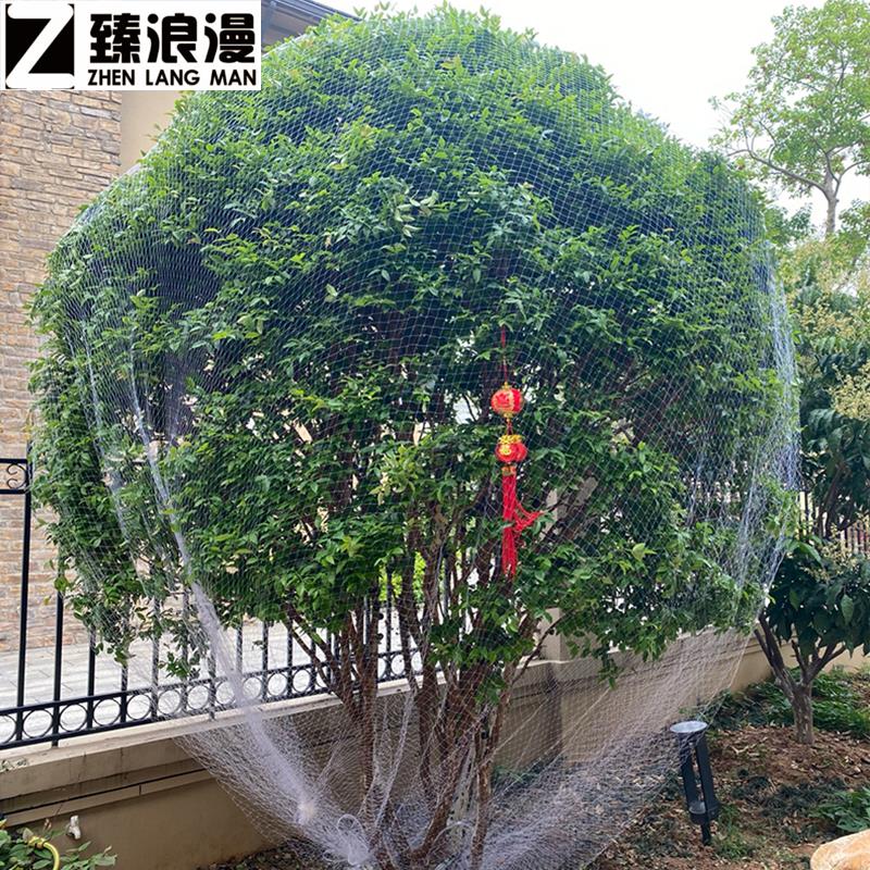 防止鸟吃果子的网果树防鸟用的网农用防鸟丝网果园天网嘉宝果树防