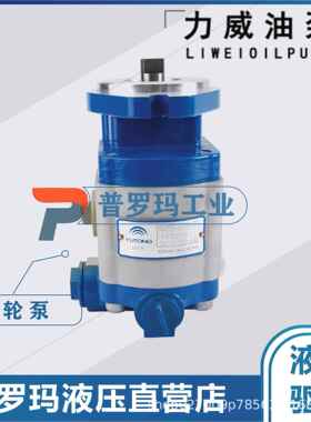 合肥力威汽车油泵潍柴、杭发WD615天力转向泵长起吊车QC25/15-STA