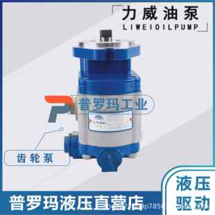 STA 合肥力威汽车油泵潍柴 杭发WD615天力转向泵长起吊车QC25