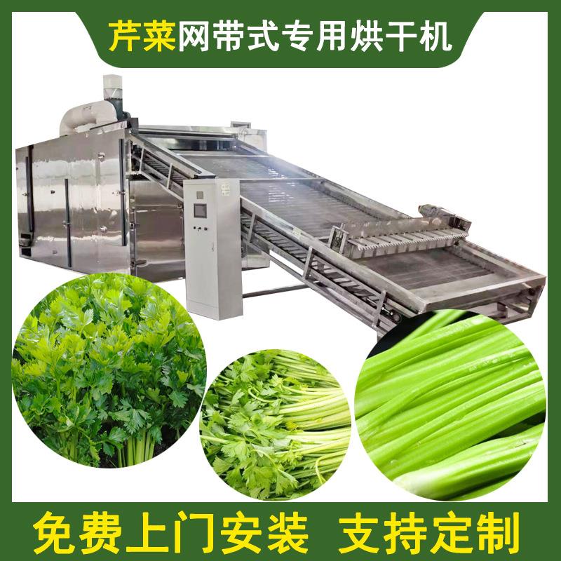 带式芹菜烘干机大型香芹干芹菜茎干烘干设备全自动芹菜段干燥机