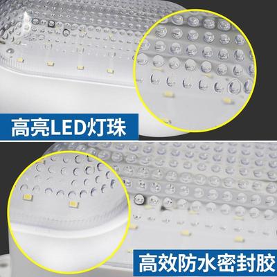 LED冷库专用灯防水防潮防爆照明低温三防灯10w20瓦卫生间灯具浴室