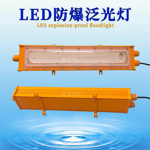 BFC8411LED防爆泛光灯50W防腐平台灯 BFE8412隧道车间应急照明灯
