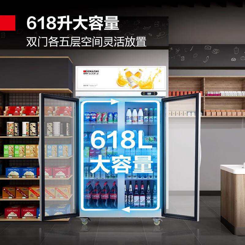 德玛仕DEMASHI食品留样柜饮料冷藏柜蔬果保鲜展示柜食堂商留样柜