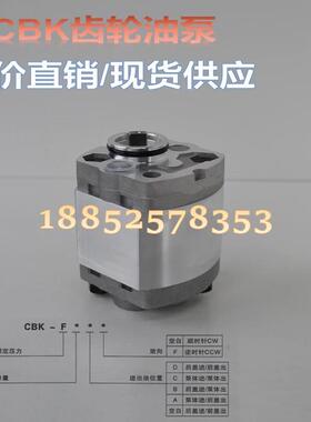 齿轮泵小型液压动力单元配件微型齿轮泵CBK-F2.1 1.6液压齿轮油泵