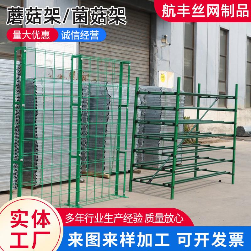 厂家供应菇房蘑菇架培养架集装箱蘑菇种植架食用菌架子农业架子
