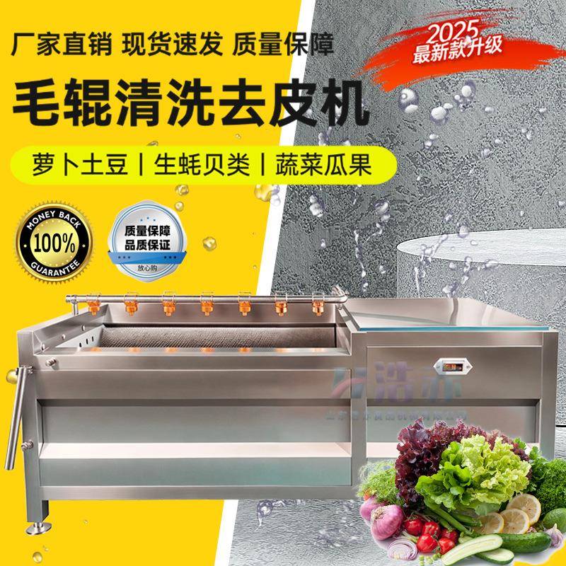 土豆去皮毛辊清洗机萝卜芋头毛刷去泥沙清洗设备气泡喷淋式洗菜机