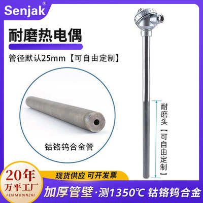 耐磨热电偶电厂水泥厂 0-1300 ℃一级WRNM330密炼机热电偶CYT101