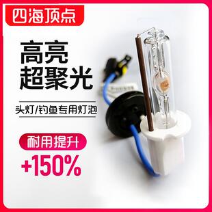 头灯疝气灯泡H3超亮远射户外探照氙气灯泡300W大功率专用钓鱼灯泡