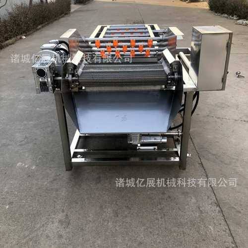 商用山楂圣女果高压喷淋式清洗设备多功能芥菜油菜气泡清洗机