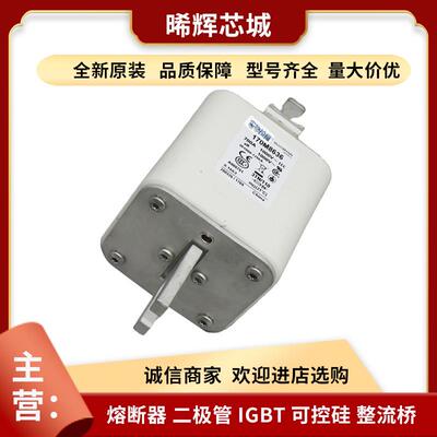 170M8636 170M8635 电子元器件 库存充足巴斯曼直流快速熔断器
