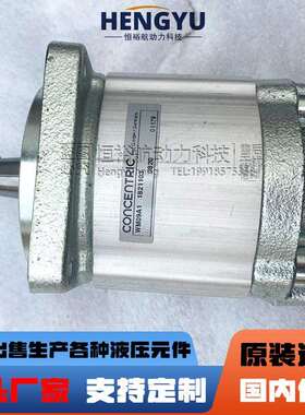 摊铺机振捣夯锤CONCENTRIC齿轮泵马达WM09A1 1821103工程液压机械