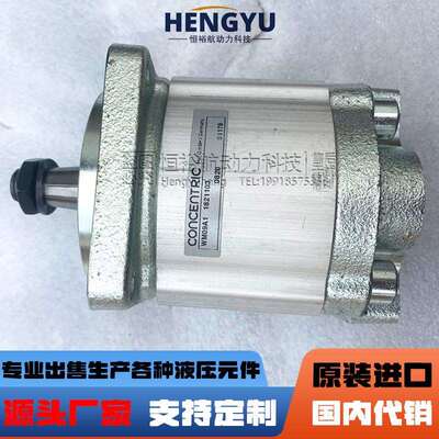 摊铺机振捣夯锤CONCENTRIC齿轮泵马达WM09A1 1821103工程液压机械
