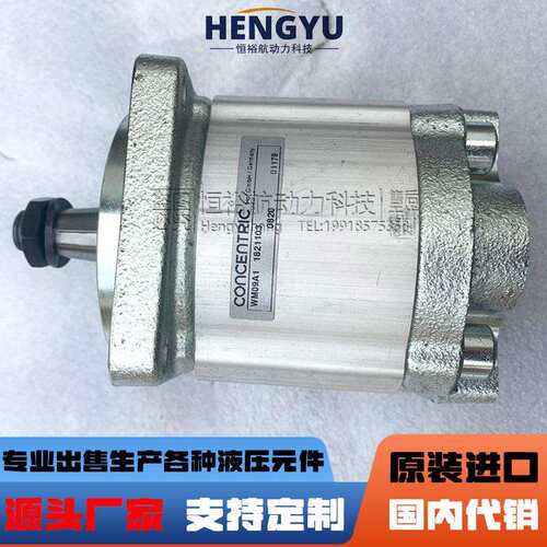 摊铺机振捣夯锤CONCENTRIC齿轮泵马达WM09A1 1821103工程液压机械