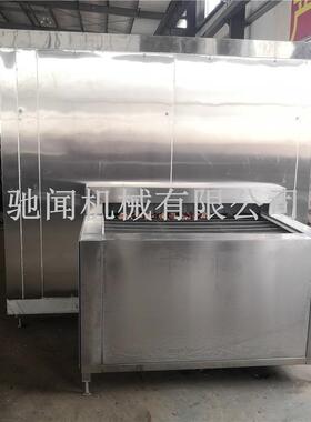 小白菜菠菜隧道式速冻机 芥菜芹菜速冻设备 蕨菜洋葱速冻流水线