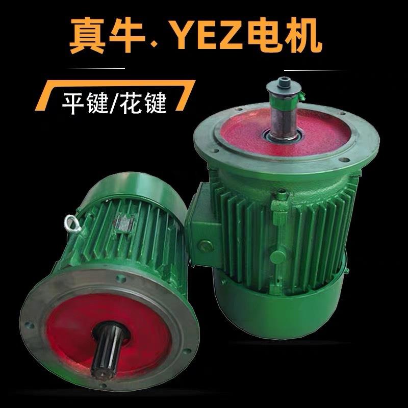 YEZ132M-4 7.5KW 锥形转子制动 电机