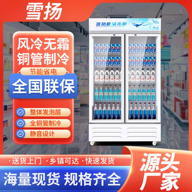 立式饮料柜商用冷藏柜保鲜柜展示柜单门家用冰柜商用冷柜啤酒水柜