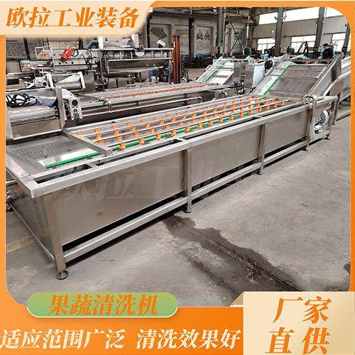 连续式蔬菜洗菜机 根茎类去泥清洗设备 预制菜气泡清洗机流水线